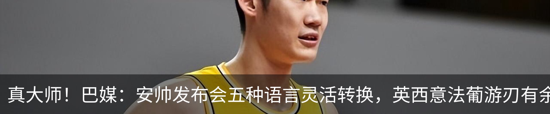 新闻动态