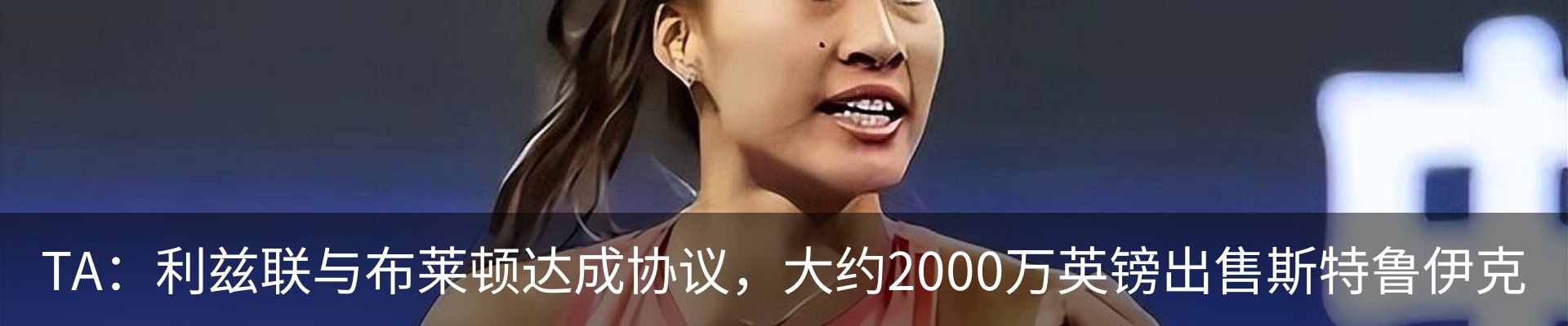 新闻动态